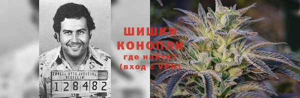 СК Арсеньев