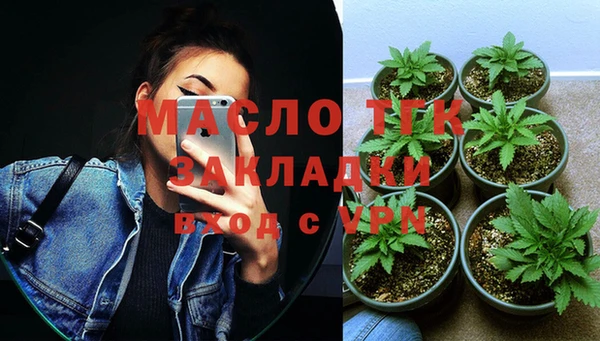 стаф Аркадак