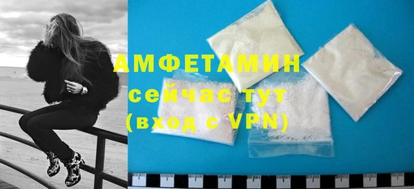 стаф Аркадак