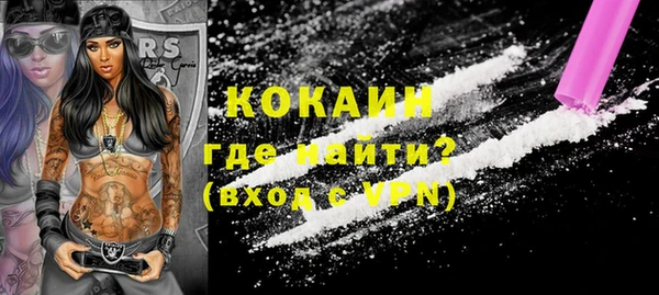 стаф Аркадак
