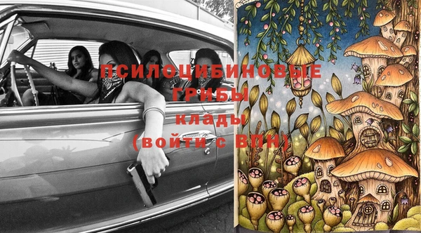 стаф Аркадак