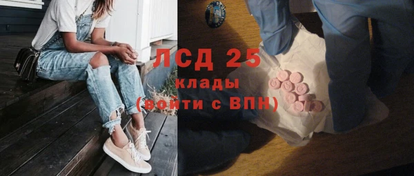 стаф Аркадак